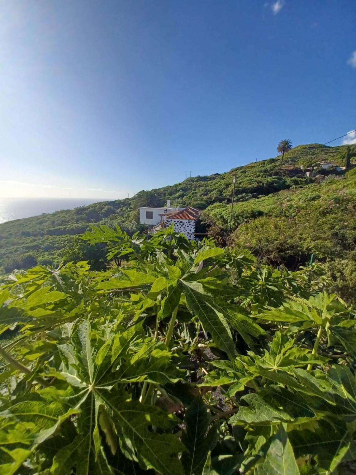 Casa Rural El Olivo De Mazo Exteriér fotografie